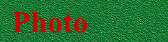 wp12e66c54.png